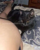 Анкета проститутки Лариса - метро Хорошевский, возраст - 25